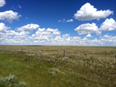 Blaine Co. MT, Scott Somershoe