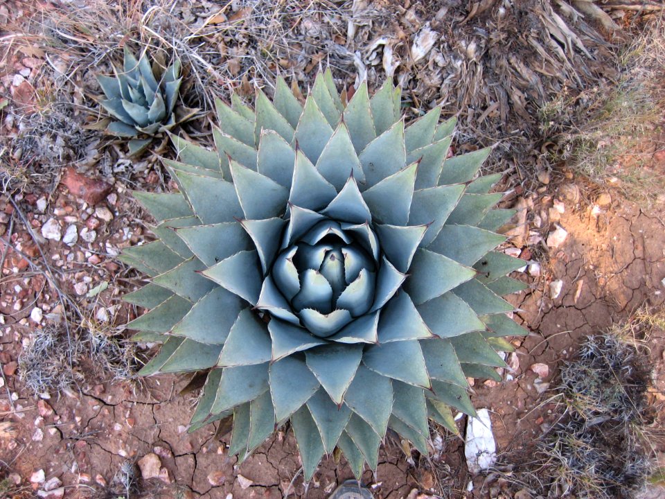 Symmetry