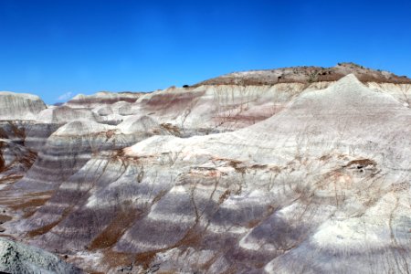08-13-17 Blue Mesa Trail HL (7)