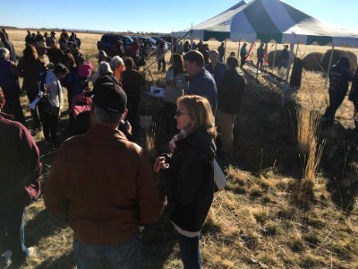 Bison Release 2