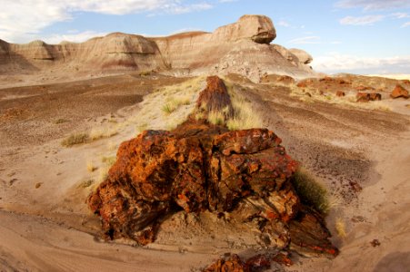 Petrified Forest National Wilderness Area South Unit photo