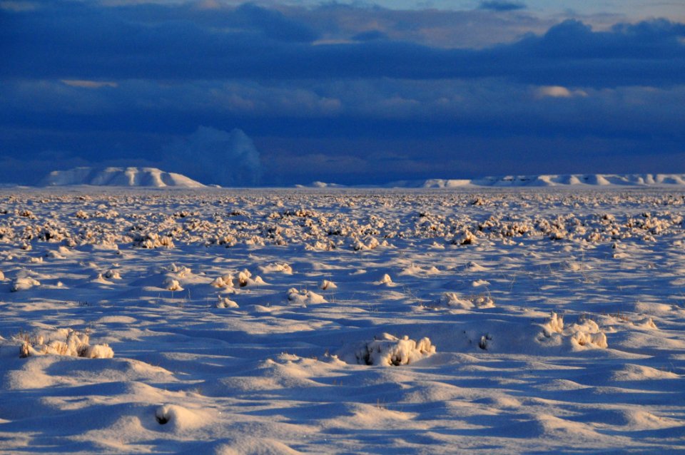 Sage steppe in winter at Seedskadee National Wildlife Refuge