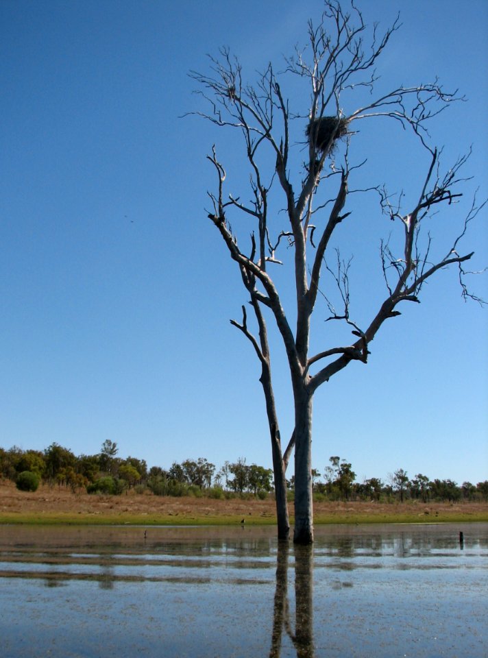 Lake Awoonga Scenery
