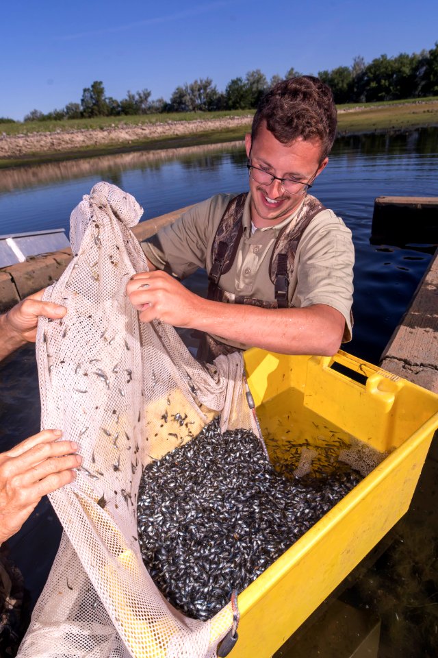 A Mess of Crappies! photo