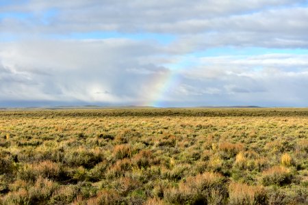 Sage steppe at Seedskadee National Wildlife Refuge