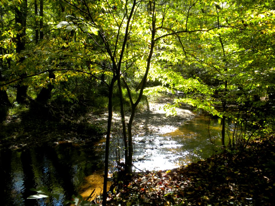 Valley Mill Park