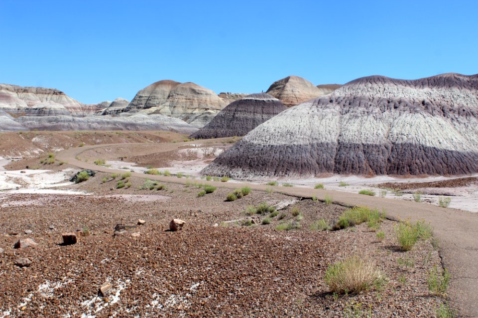 08-13-17 Blue Mesa Trail HL (28)