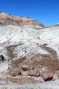 08-13-17 Blue Mesa Trail HL (36)