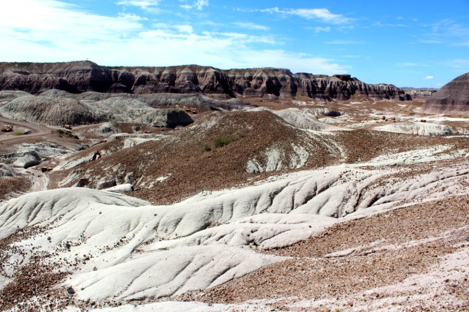 08-13-17 Blue Mesa Trail HL (13)