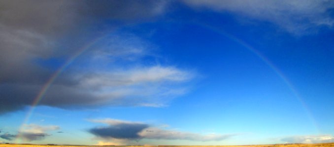 Grassland Rainbow