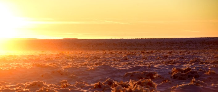 Sage steppe in winter at Seedskadee National Wildlife Refuge