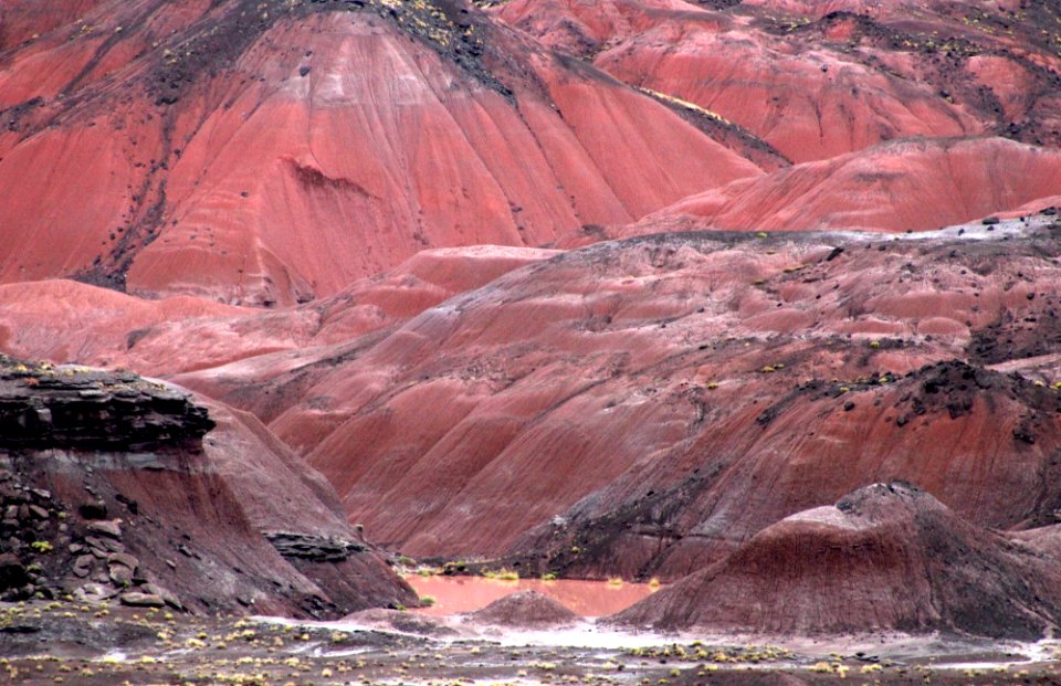 Petrified Forest Member from North No Name Point