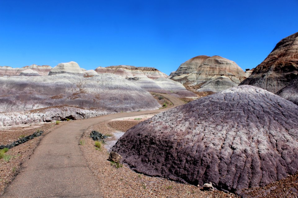 08-13-17 Blue Mesa Trail HL (31)