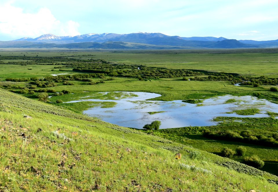 The Illinois River and adjacent wetlands and oxbows on Arapaho National Wildlife Refuge