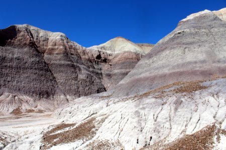 08-13-17 Blue Mesa Trail HL (20) photo