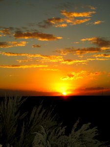 Petrified Forest Sunset