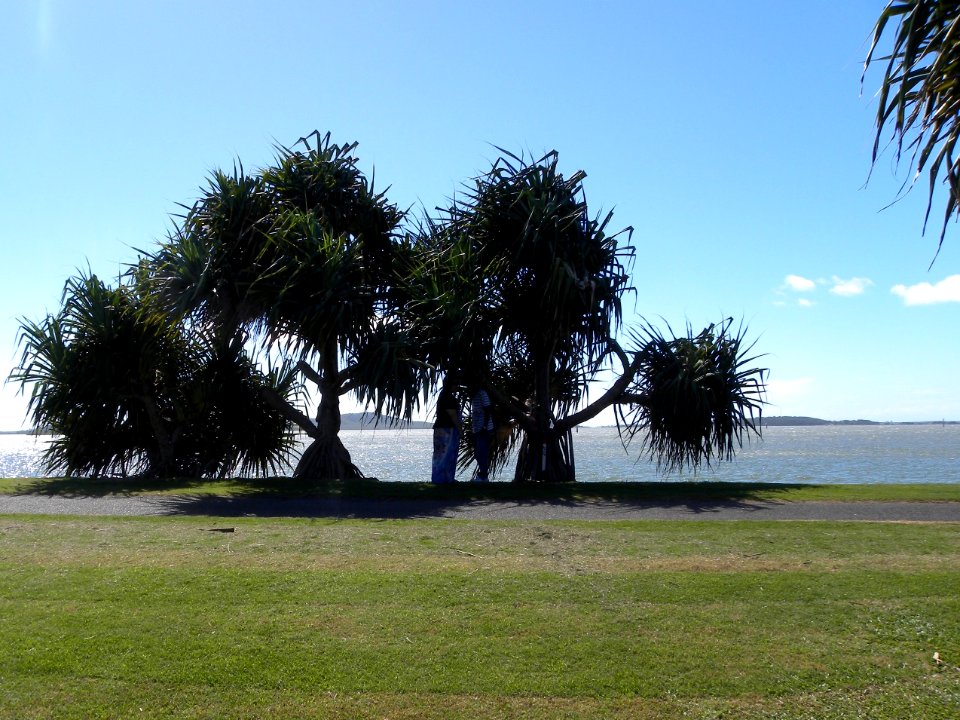 View from Spinnaker Park, Gladstone