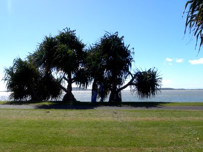 View from Spinnaker Park, Gladstone photo