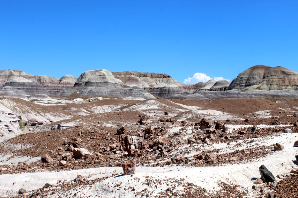 08-13-17 Blue Mesa Trail HL (26)