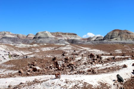 08-13-17 Blue Mesa Trail HL (26)