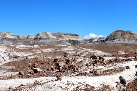 08-13-17 Blue Mesa Trail HL (26) photo