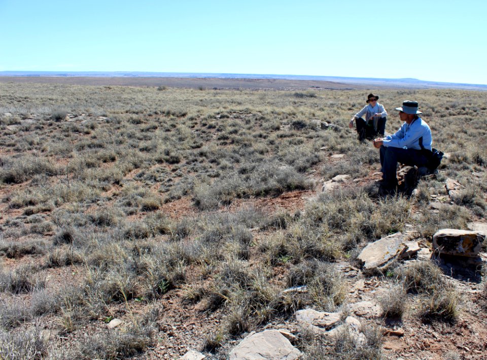 03-16-17 Dennis Roberts' photos of McCreery Pueblo Hike (2)
