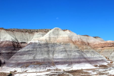 08-13-17 Blue Mesa Trail HL (32) photo