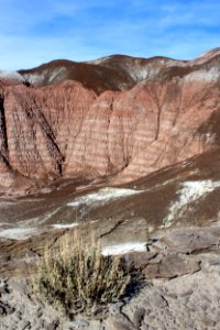 02-05-17 6422 The Tepees Peek at the Park