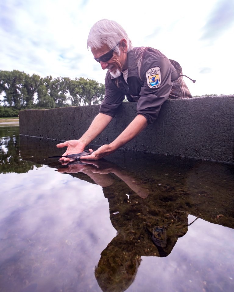 Reflecting on the 2020 Paddlefish Harvest
