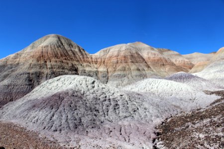 08-13-17 Blue Mesa Trail HL (17) photo