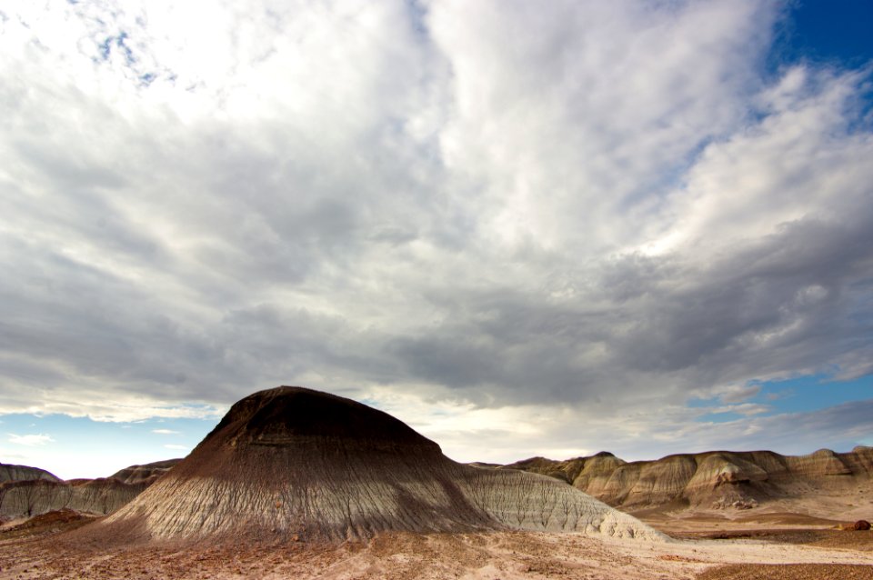 Petrified Forest National Wilderness Area South Unit