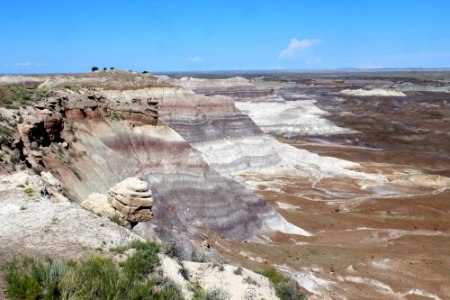 08-13-17 Blue Mesa Trail HL (2)