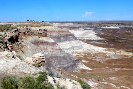 08-13-17 Blue Mesa Trail HL (2) photo