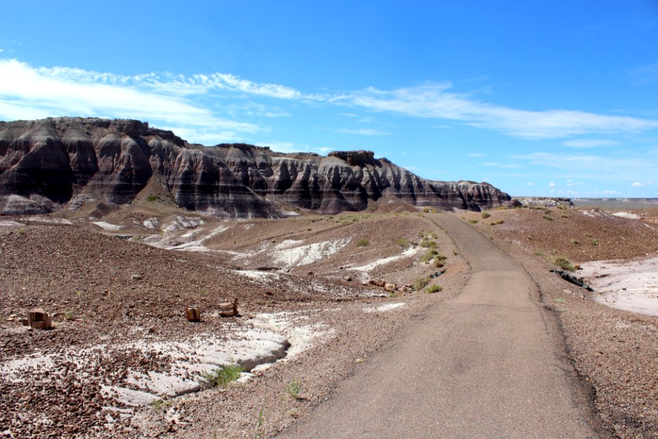 08-13-17 Blue Mesa Trail HL (23)