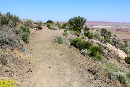 09-02-17 5658 Rim Trail