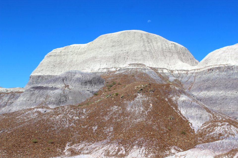 08-13-17 Blue Mesa Trail HL (10)
