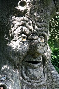 Image fantasy efteling