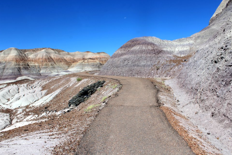 08-13-17 Blue Mesa Trail HL (11)