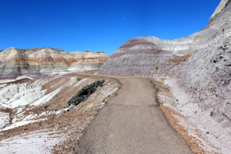 08-13-17 Blue Mesa Trail HL (11) photo