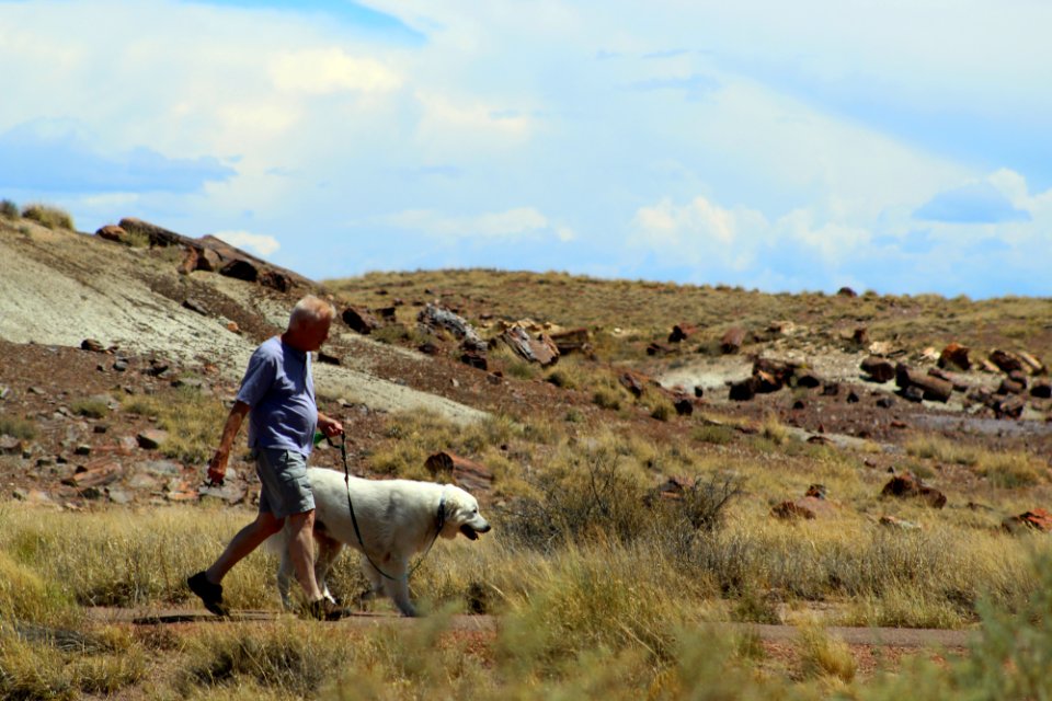 Dog and Dad at Crystal Forest
