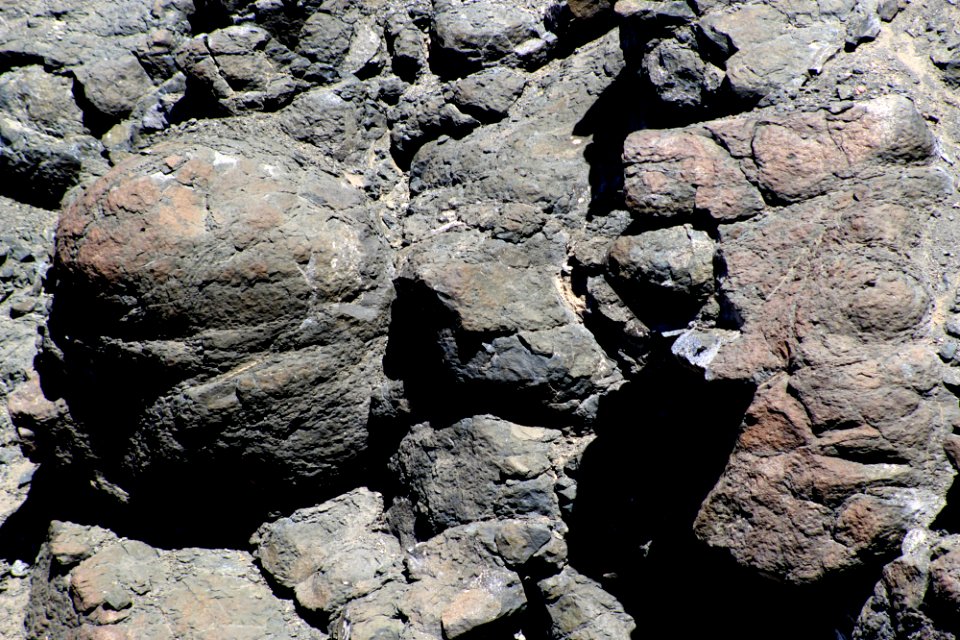 Pillow Basalt, Bidahochi Formation