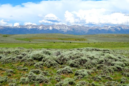 Sage steppe at Arapaho National Wildlife Refuge photo