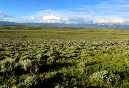 Sage steppe at Arapaho National Wildlife Refuge