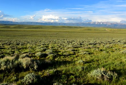 Sage steppe at Arapaho National Wildlife Refuge photo