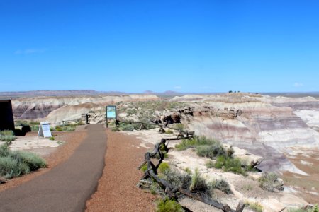08-13-17 Blue Mesa Trail HL (1) photo