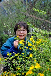 Yeouido Park Spring 2016