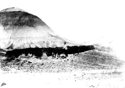 PEFO 20844