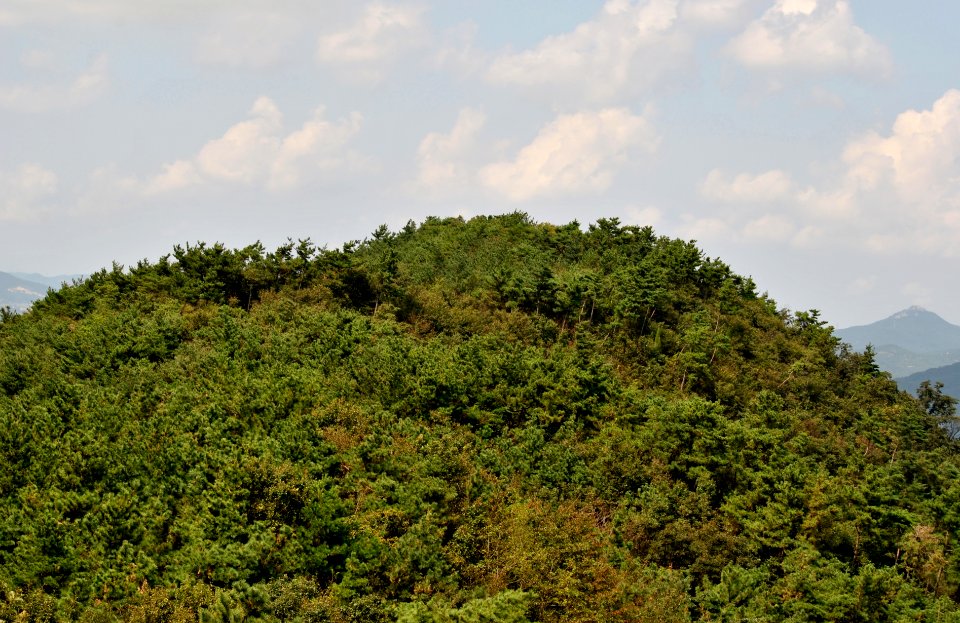 Dobee Mountain