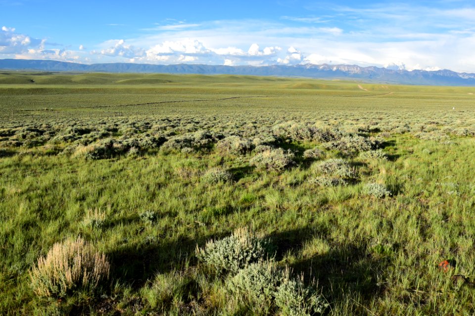 Sage steppe at Arapaho National Wildlife Refuge