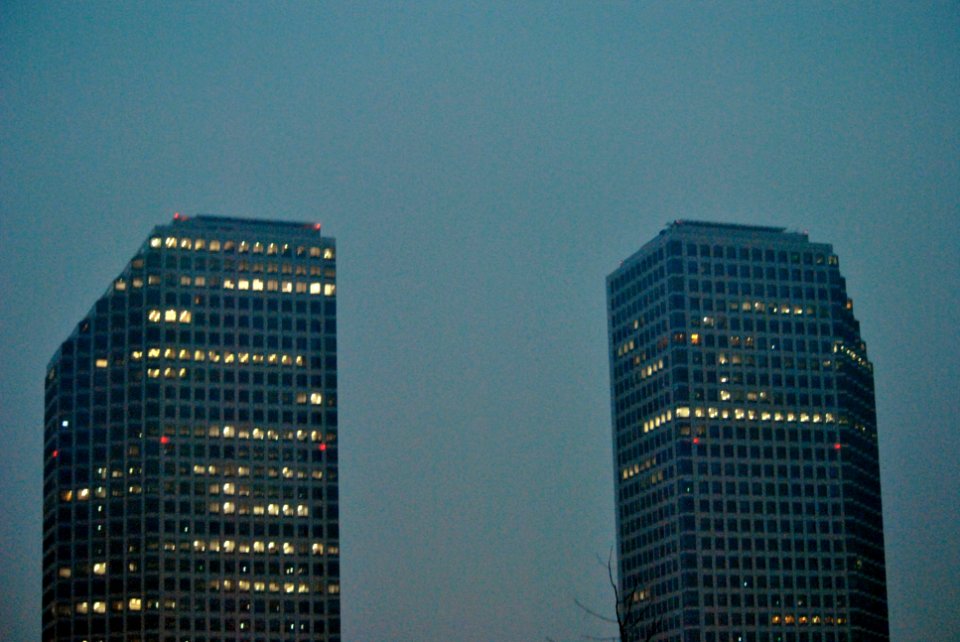 Yeouido Park Spring 2016